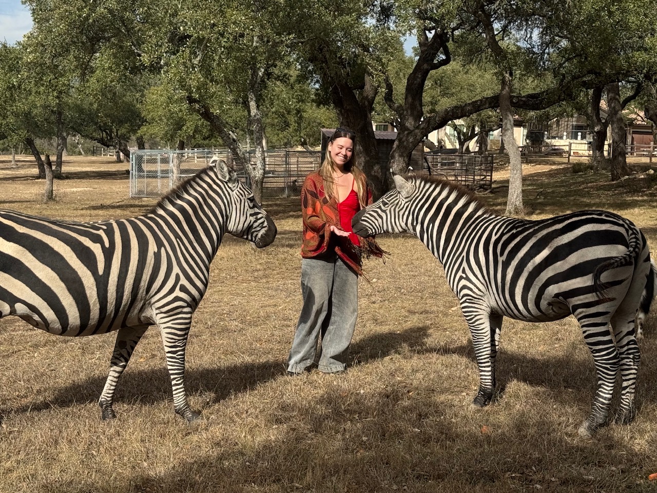 Private safari ranch animal experience