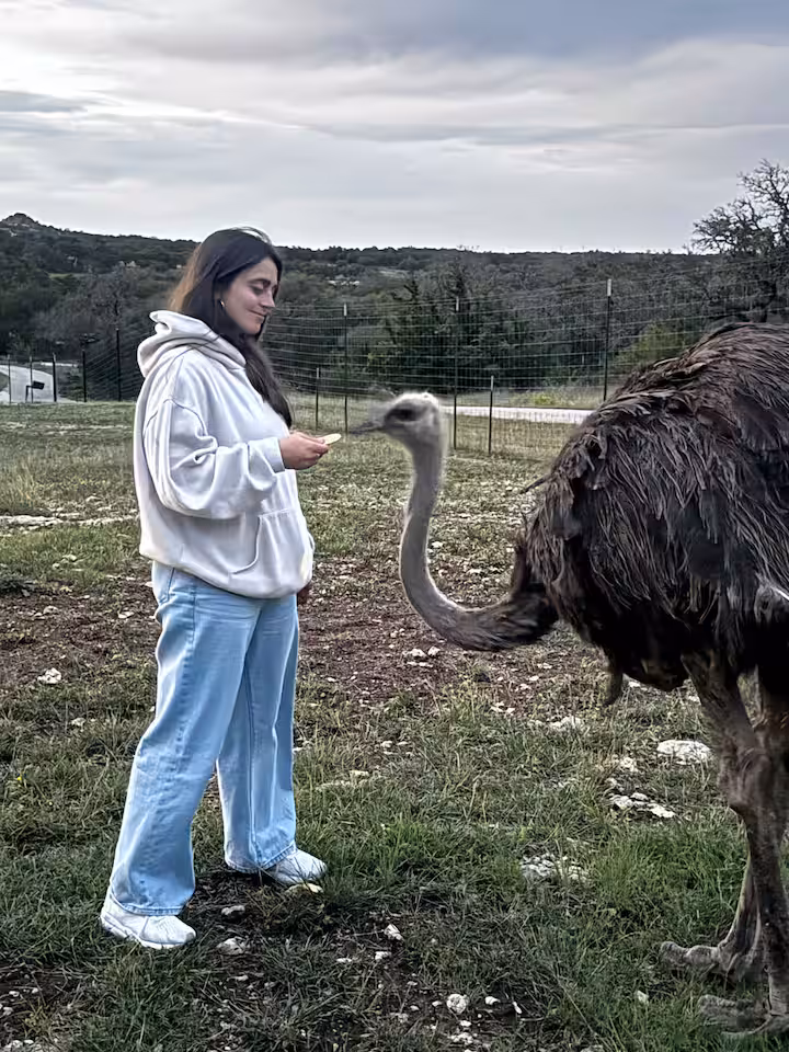 Guest beside an ostrich on the ranch