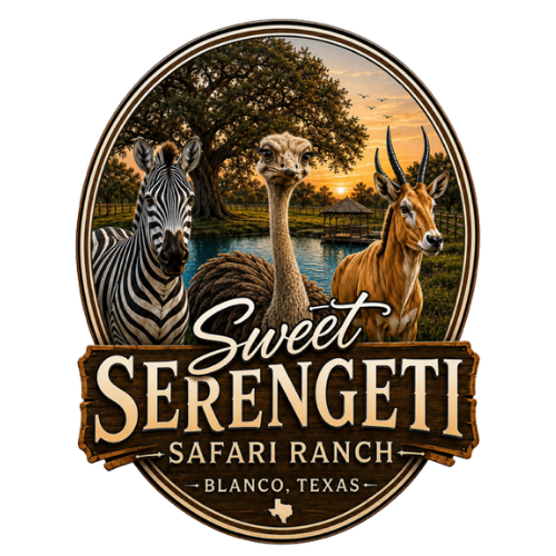 Sweet Serengeti Safari Ranch · Blanco, Texas