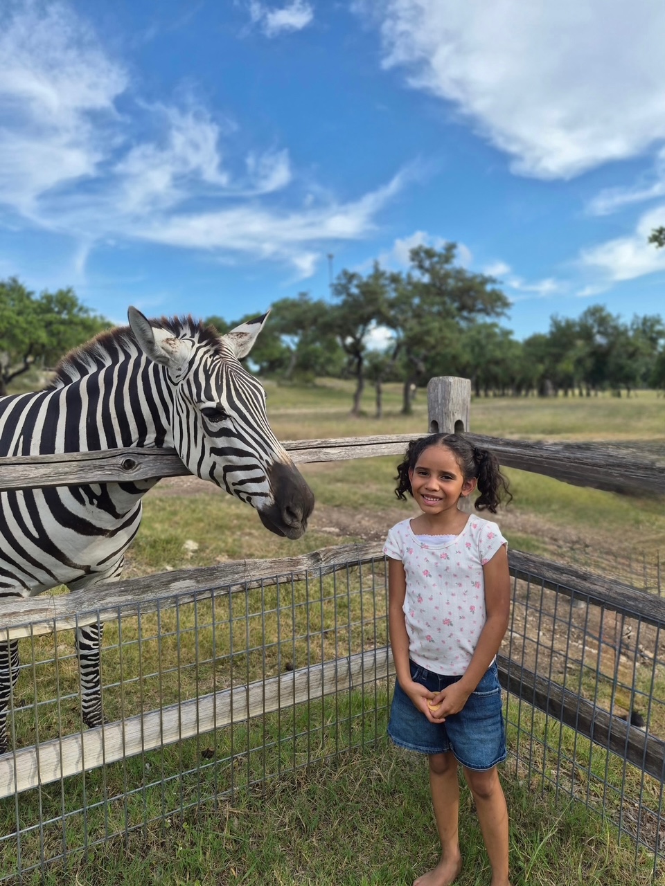 A young guest beside a zebra at the ranch fence
